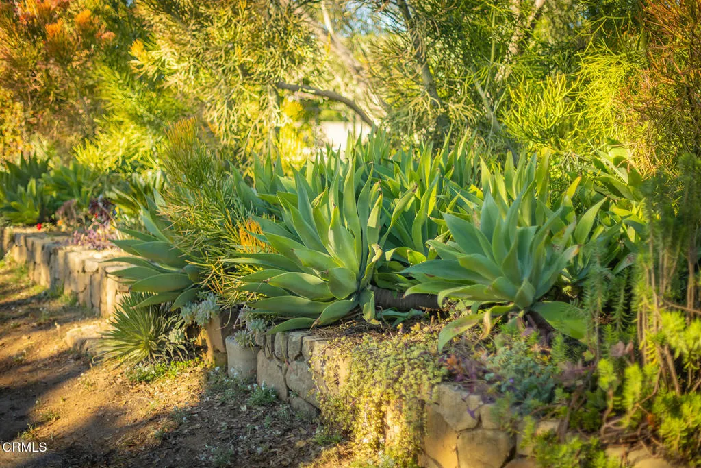 1227 Cruzero Street, Ojai, California 93023 home-pic-46