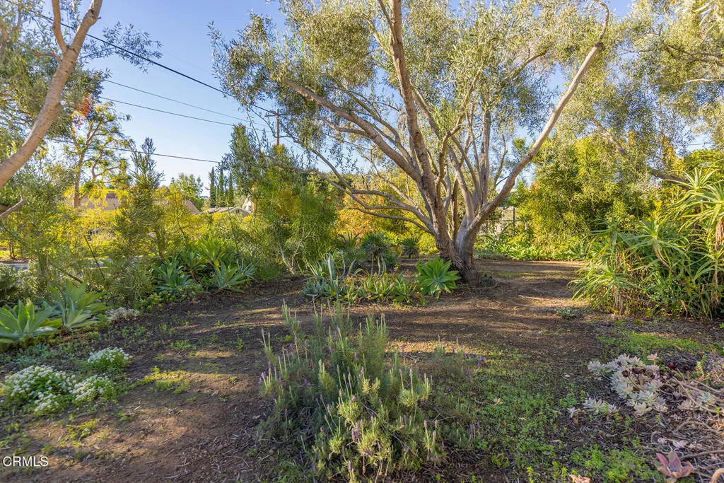 1227 Cruzero Street, Ojai, California 93023 home-pic-37