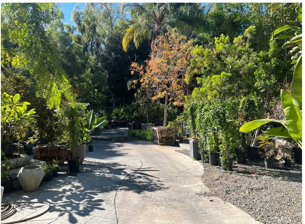 27401 Ortega, San Juan Capistrano, California 92675 home-pic-5