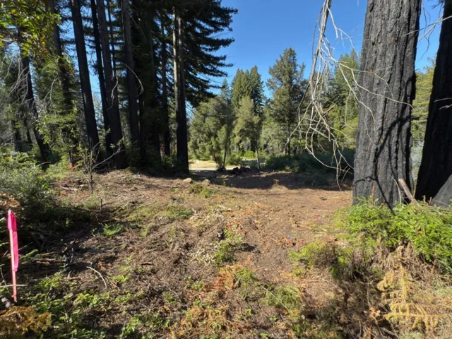 0 Fallen Leaf Drive, Boulder Creek, California 95006