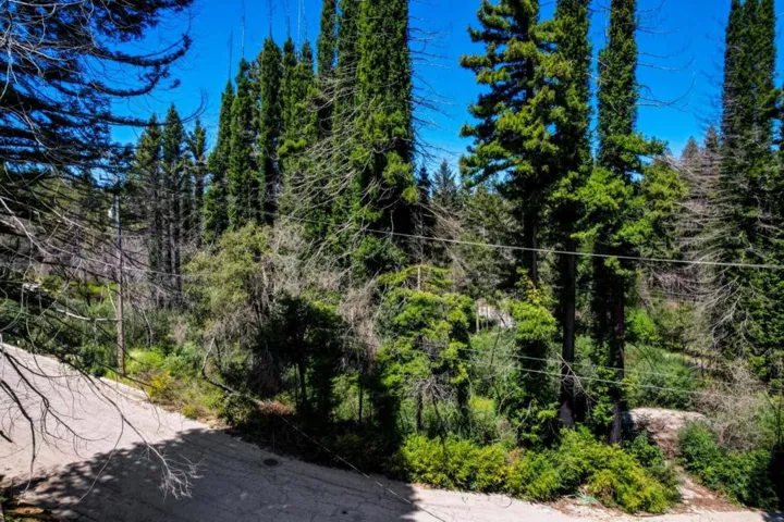 0 Fallen Leaf Drive, Boulder Creek, California 95006