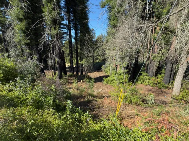 0 Fallen Leaf Drive, Boulder Creek, California 95006