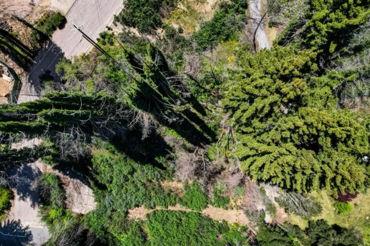 0 Fallen Leaf Drive, Boulder Creek, California 95006