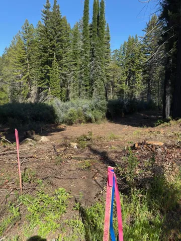 0 Fallen Leaf Drive, Boulder Creek, California 95006