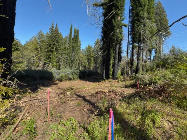 0 Fallen Leaf Drive, Boulder Creek, California 95006