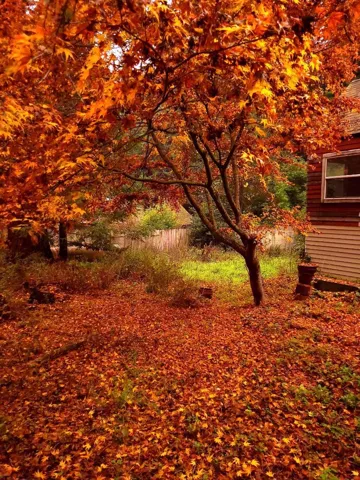 785 Cathedral, Aptos, California 95003