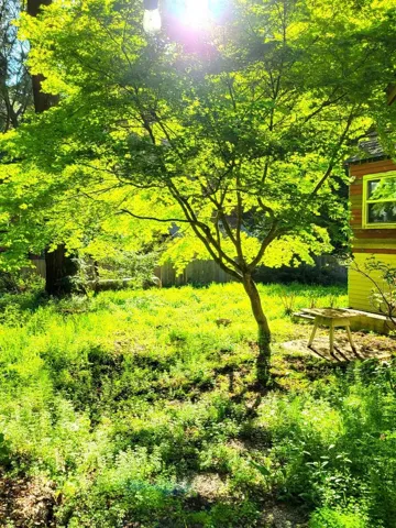785 Cathedral, Aptos, California 95003