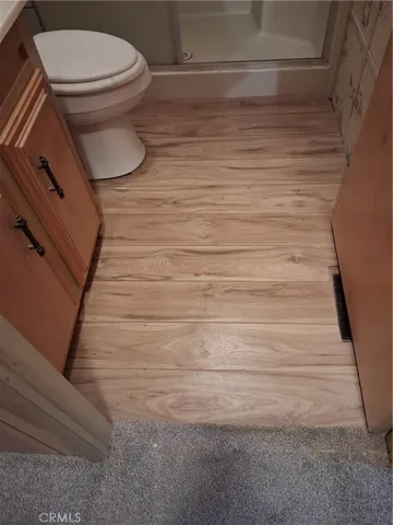 Hall bathroom with new vinyl plank flooring