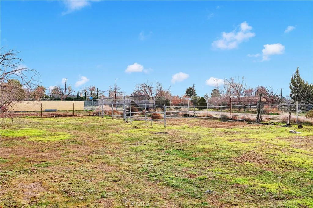 9175 E Avenue S4, Littlerock, California 93543 home-pic-25