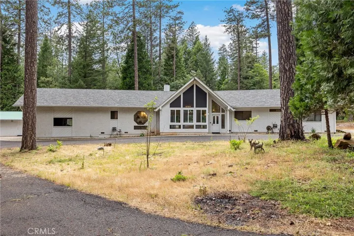 Level and usable 4.8 acres of property