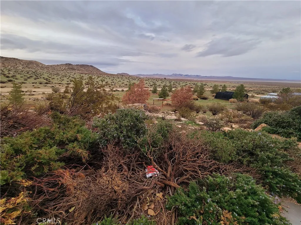 195 Old El Mirage Road, Adelanto, California 92301 home-pic-7