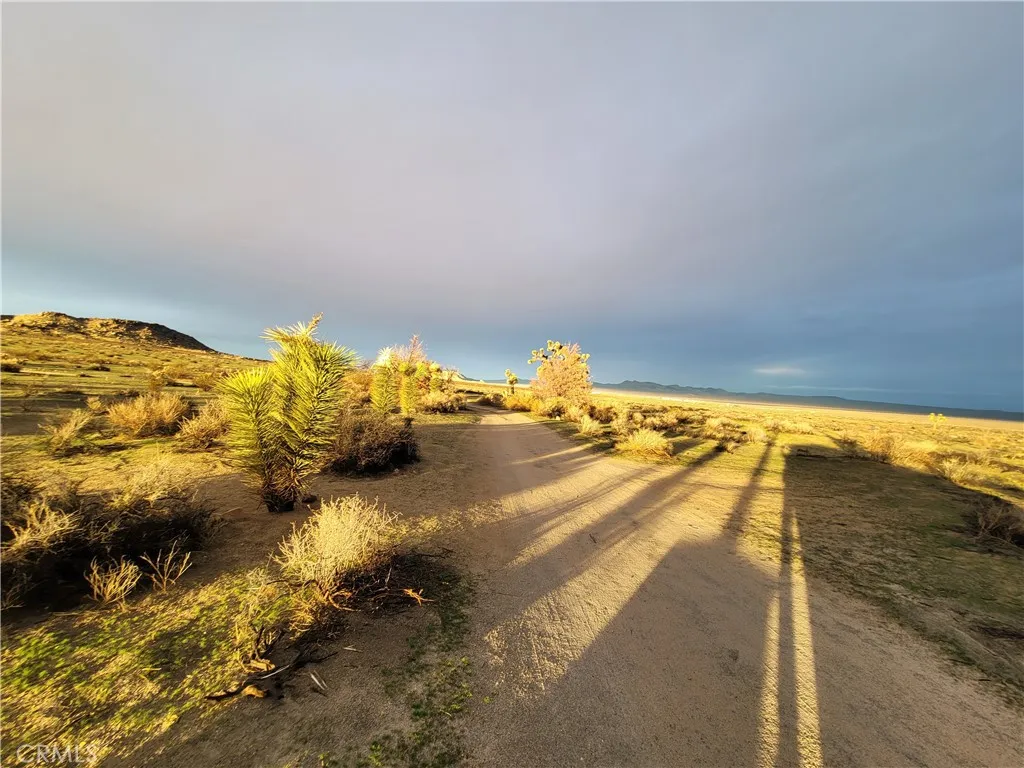195 Old El Mirage Road, Adelanto, California 92301 home-pic-4