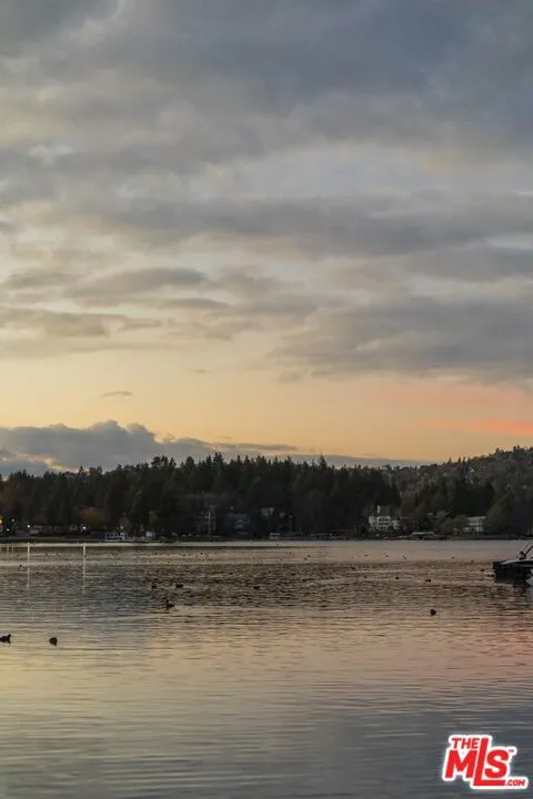 265 Garden Drive, Lake Arrowhead, California 92352 home-pic-21