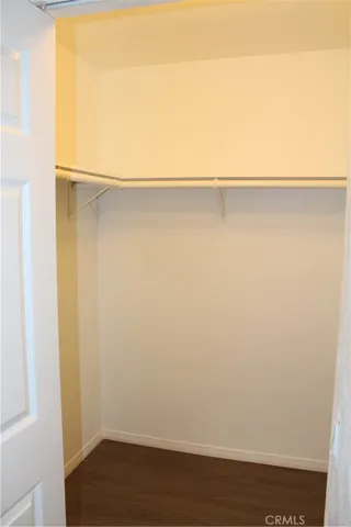 primary walk in closet