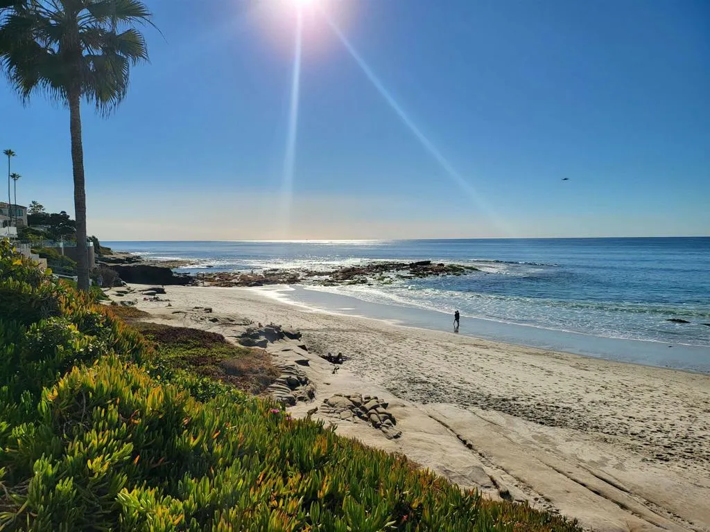 370 72 Nautilus St, La Jolla, California 92037 home-pic-25