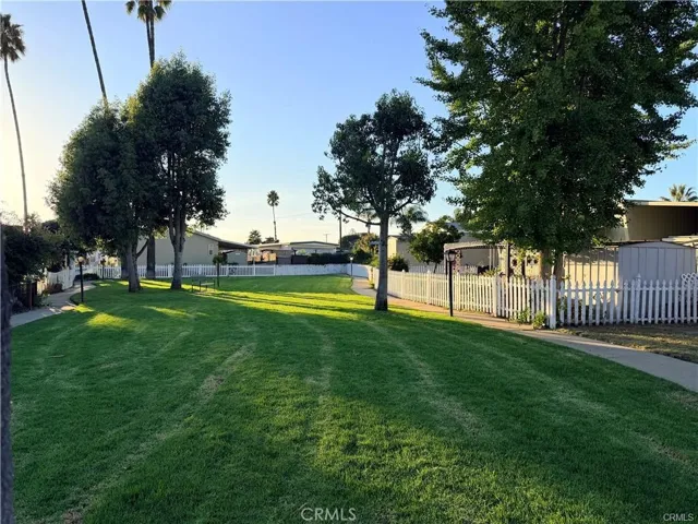 Dog Park
