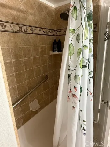 Primary Bath Tub Shower Combination