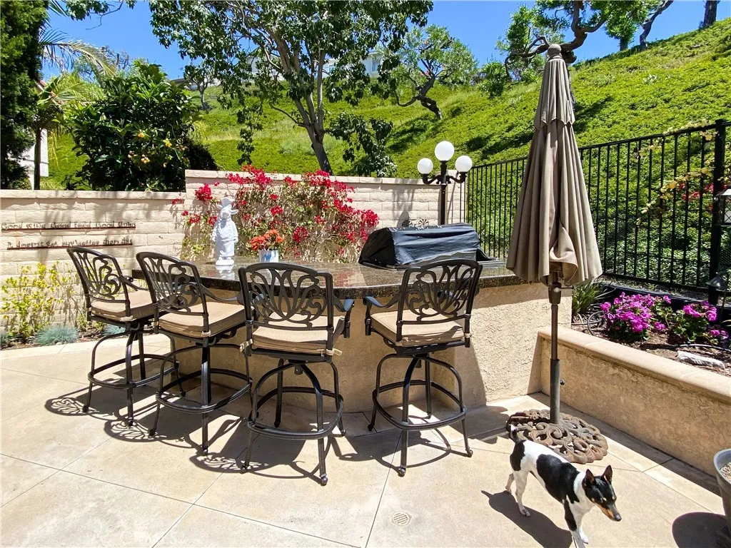 6430 E Oakview Lane, Anaheim Hills, California 92807 home-pic-45