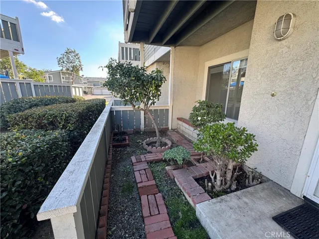 Front yard with Lemon Tree