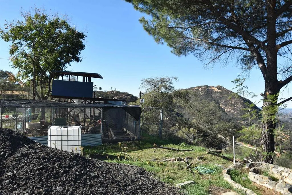 15519 Skyline Truck Trail, Jamul, California 91935 home-pic-11