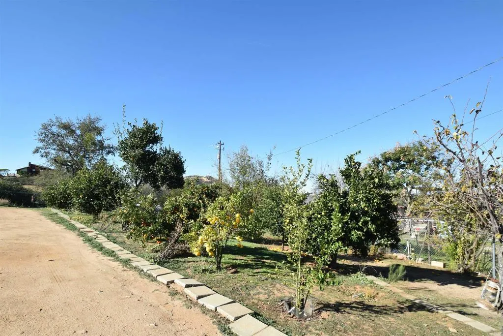 15519 Skyline Truck Trail, Jamul, California 91935 home-pic-5