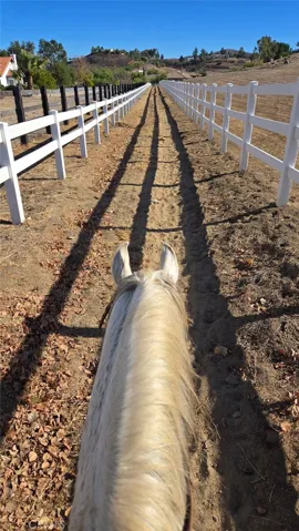 Direct Access to riding trail