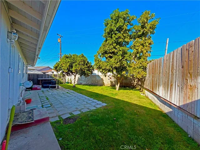 Back Yard - Orange, Avocado and Apple, Dragon Fruit Trees/Plants