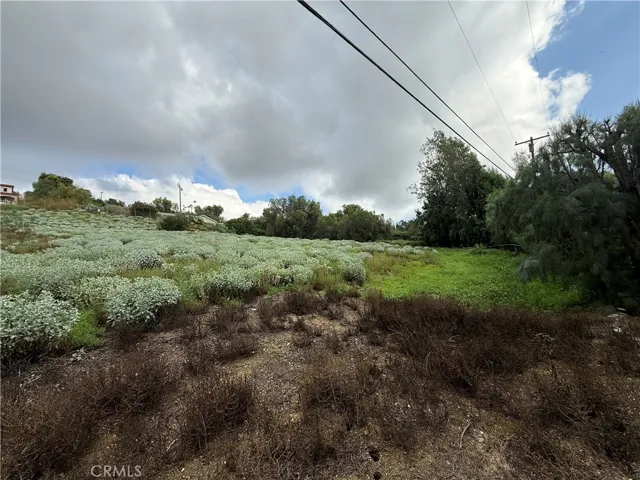 south edge facing northeast