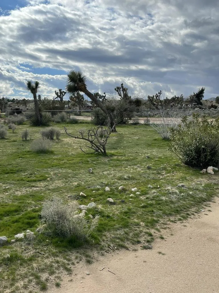 57625 Buena Vista Drive, Yucca Valley, California 92284 home-pic-19
