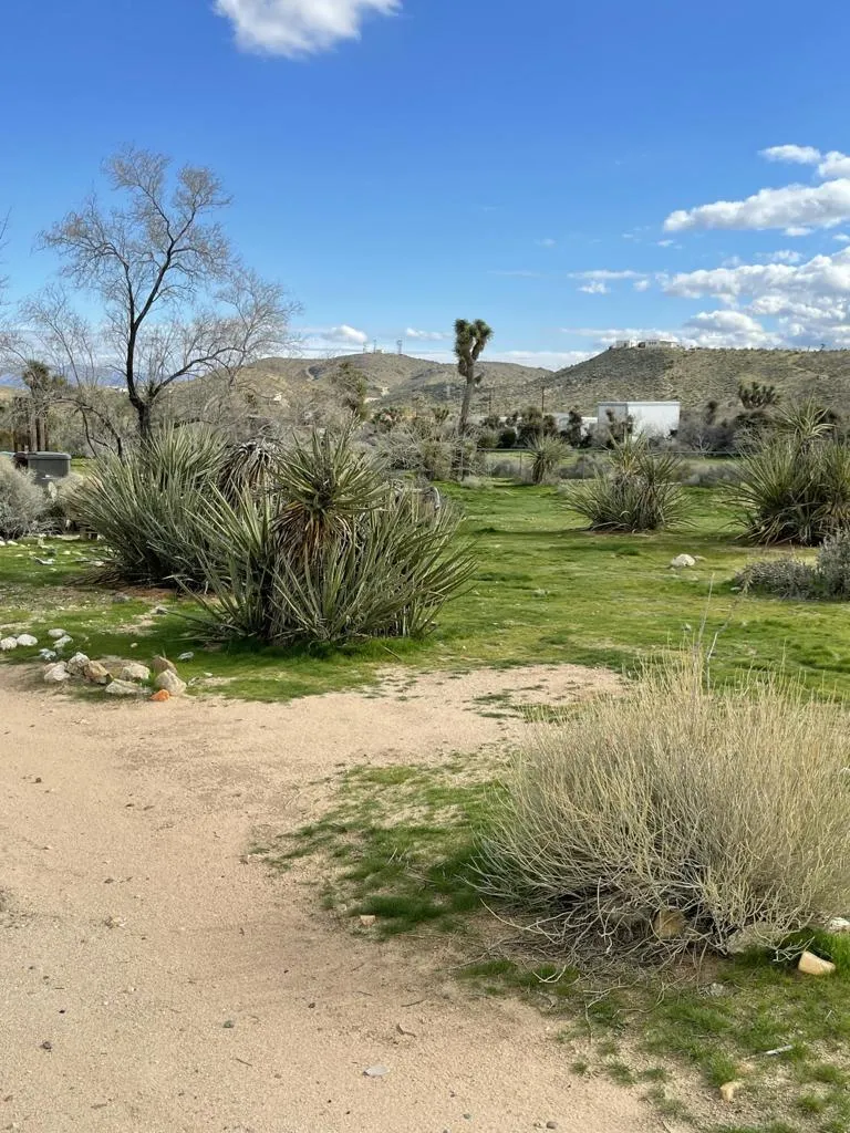 57625 Buena Vista Drive, Yucca Valley, California 92284 home-pic-18