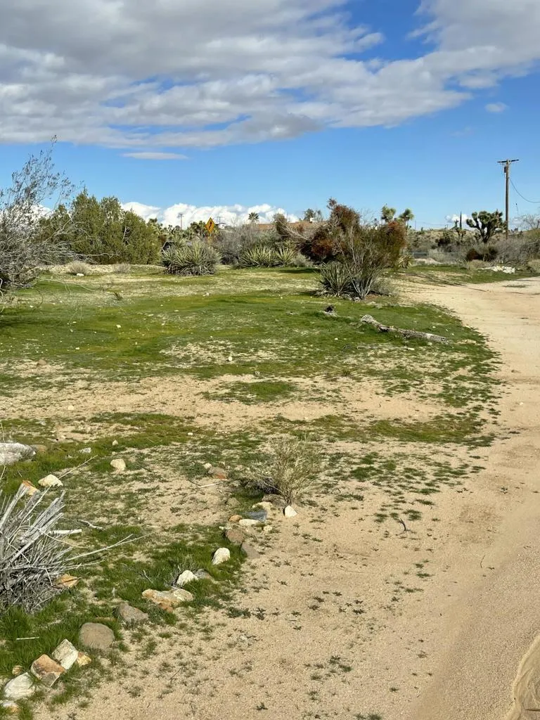 57625 Buena Vista Drive, Yucca Valley, California 92284 home-pic-17