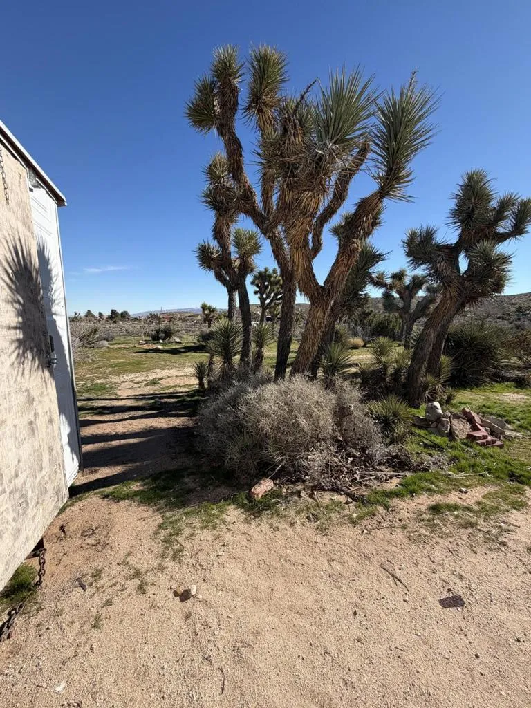 57625 Buena Vista Drive, Yucca Valley, California 92284 home-pic-53