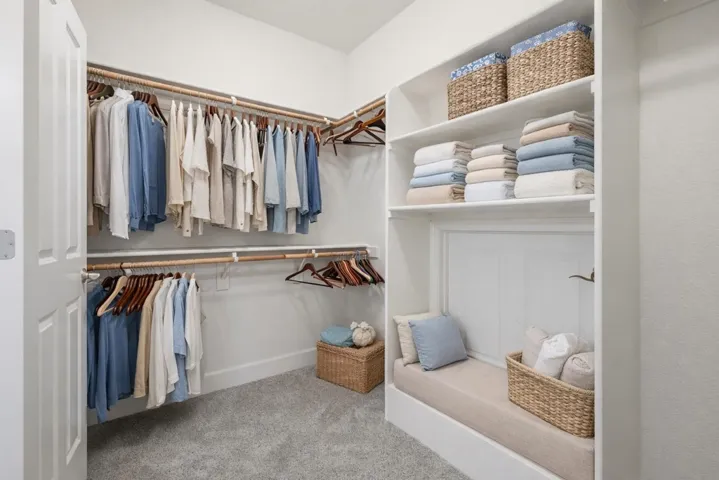 Walk in closet featuring light carpet