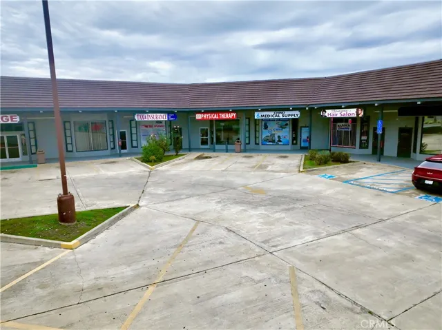 professional tenant mix