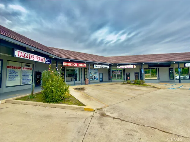 professional tenant mix