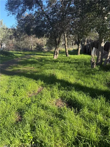View of left hand side of lot from the front of the property