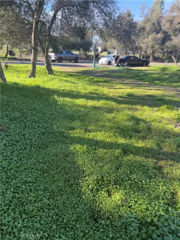 Looking back toward Oleander from the back right corner of the lot