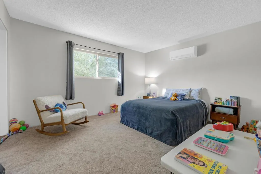 3129 Frying Pan Rd, Borrego Springs, California 92004 home-pic-19