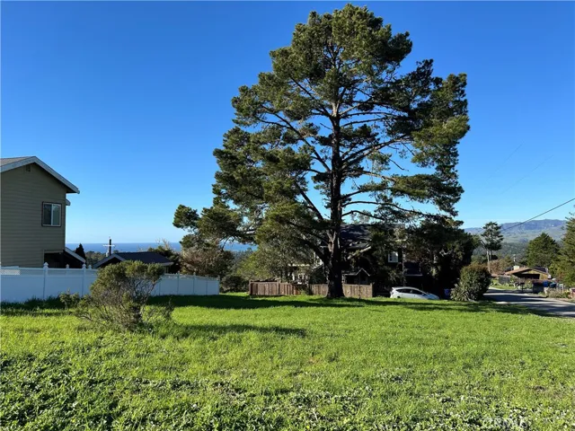 Views & More Views!