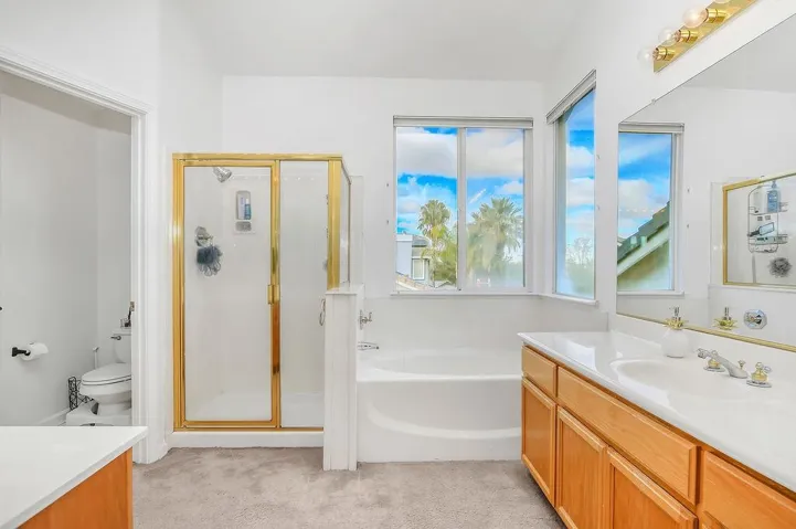 Bathroom featuring vanity, a stall shower, a garden tub, and light colored carpet