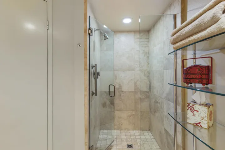 Shower in Powder Room