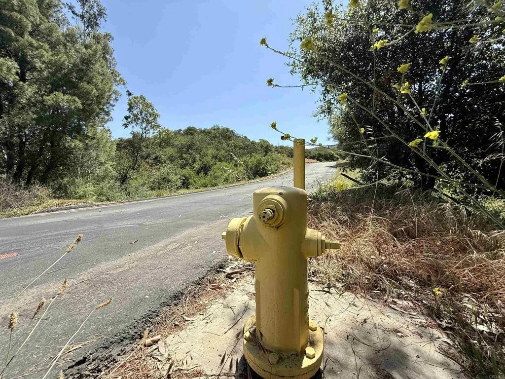 Fire Hydrant nearby