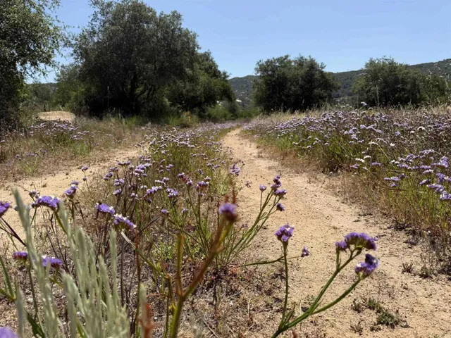 Dual access to the property