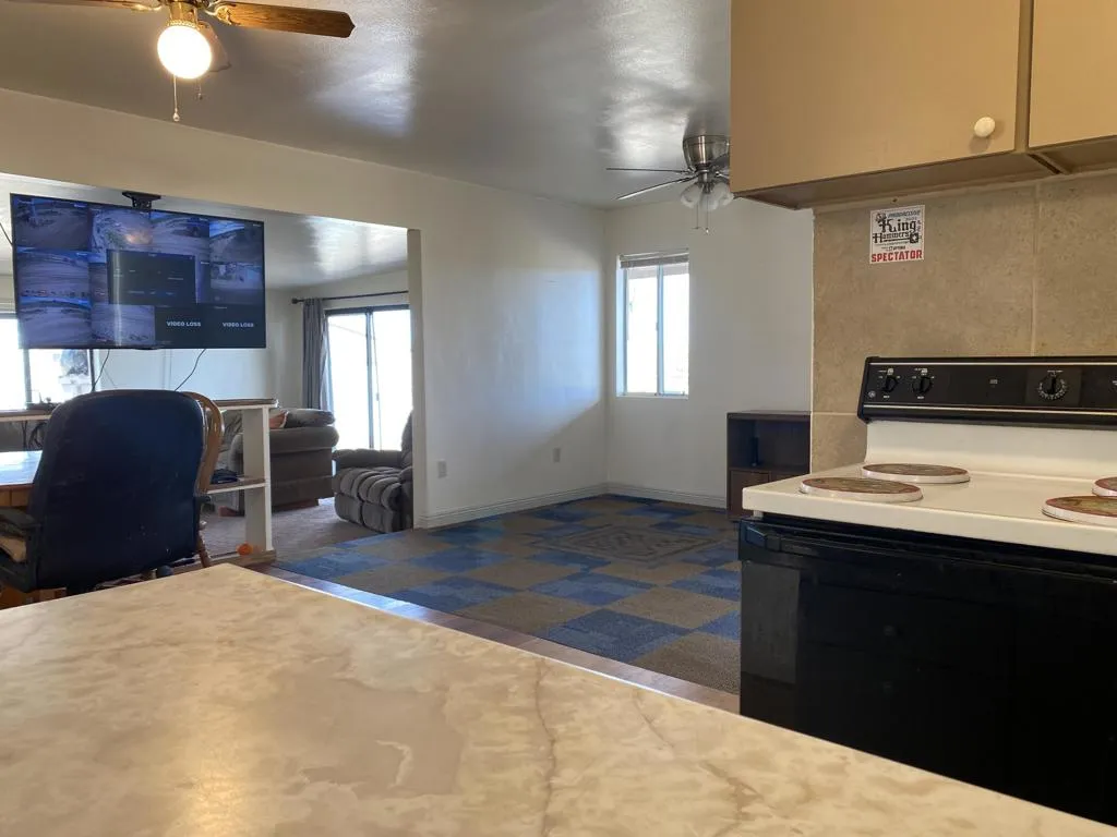 52020 Joshua Tree Road, Johnson Valley, California 92285 home-pic-22