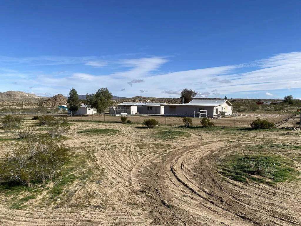 52020 Joshua Tree Road, Johnson Valley, California 92285 home-pic-3