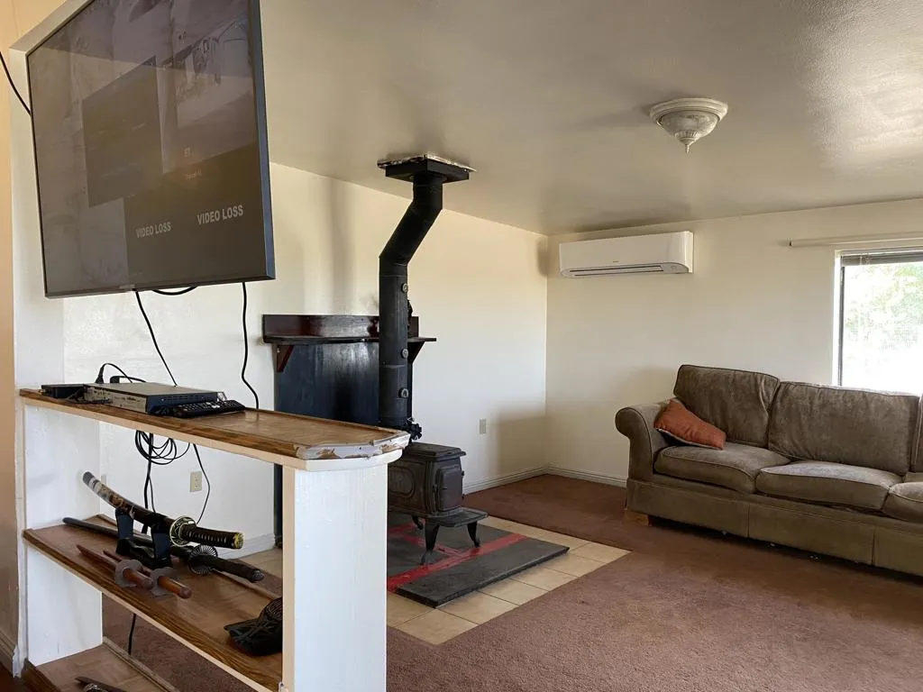 52020 Joshua Tree Road, Johnson Valley, California 92285 home-pic-17