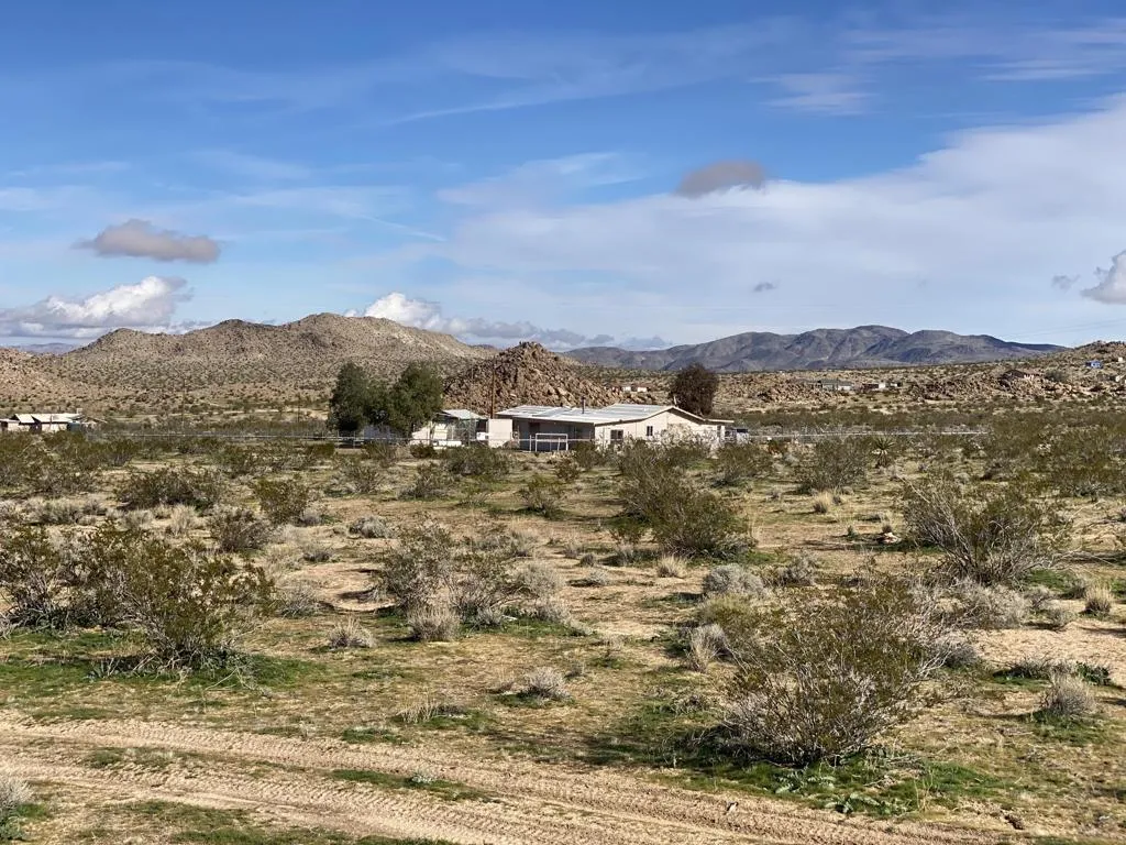 52020 Joshua Tree Road, Johnson Valley, California 92285 home-pic-4