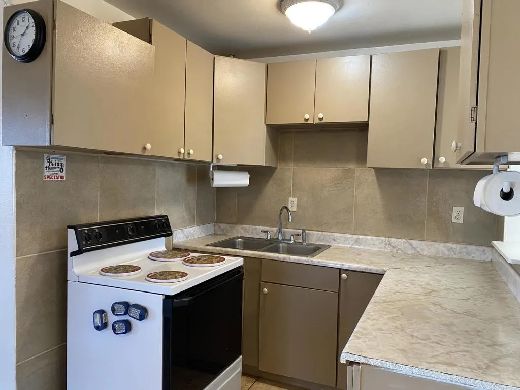 52020 Joshua Tree Road, Johnson Valley, California 92285 home-pic-21