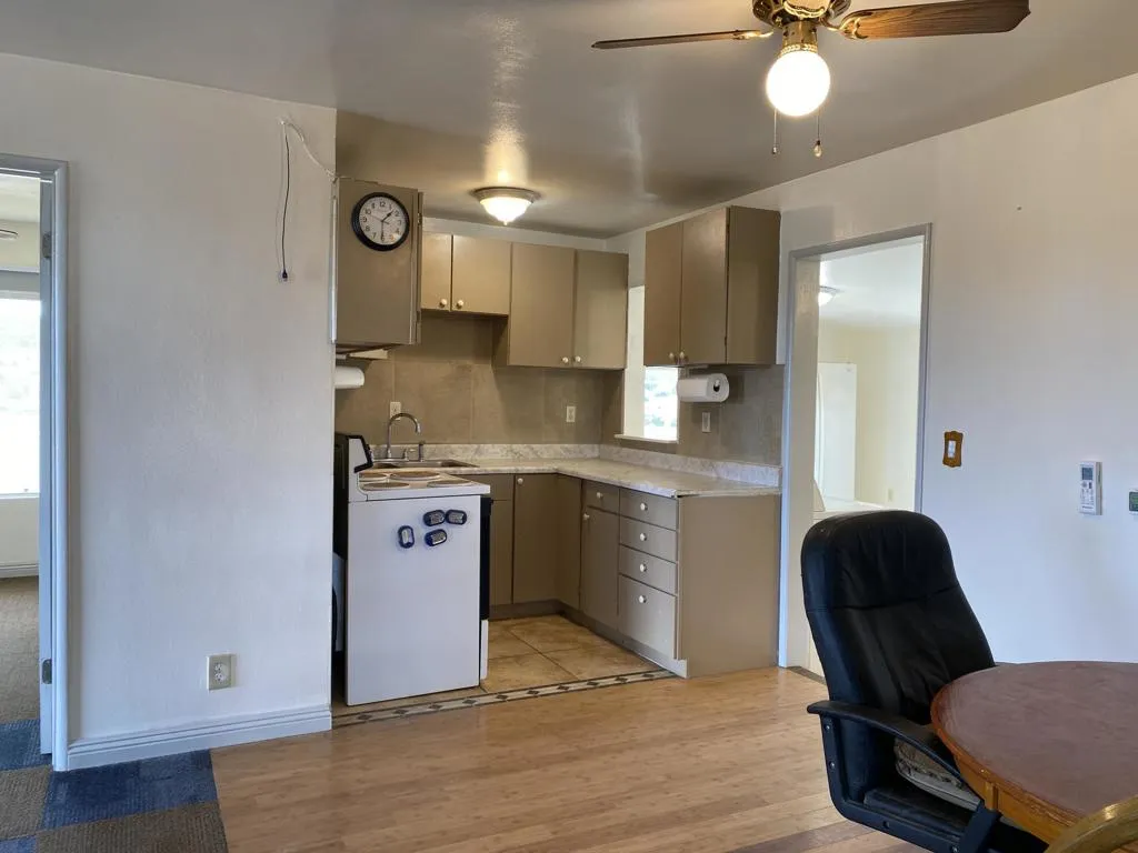 52020 Joshua Tree Road, Johnson Valley, California 92285 home-pic-23