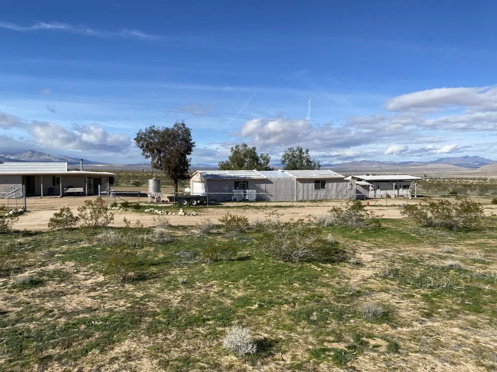 52020 Joshua Tree Road, Johnson Valley, California 92285 home-pic-8